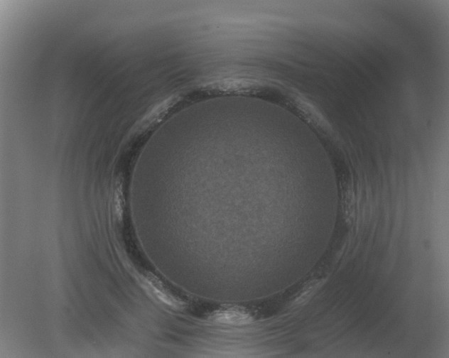 X0000080190644200612152015