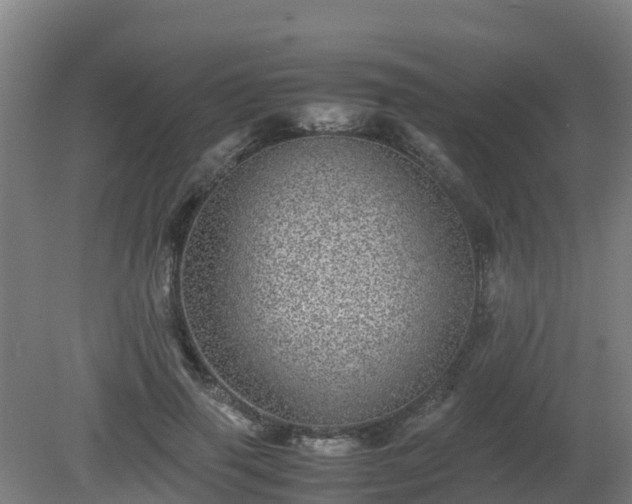 X0000080190645200612152015