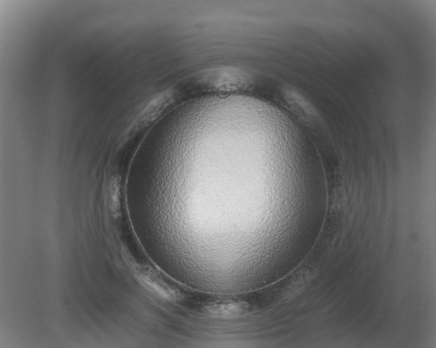 X0000080190646200612152015