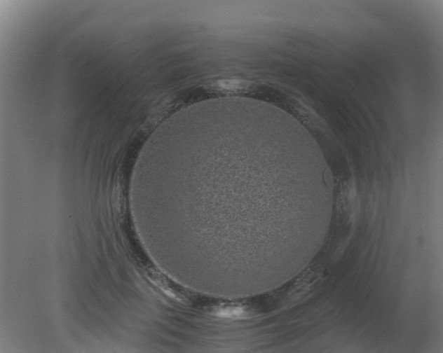 X0000080190651200612152015