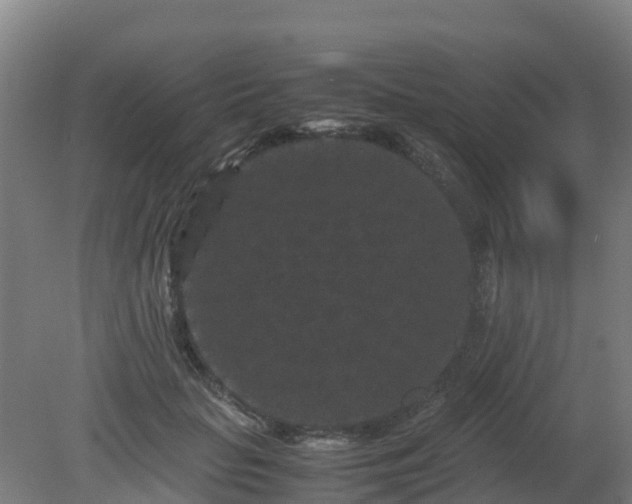X0000080190653200612152015