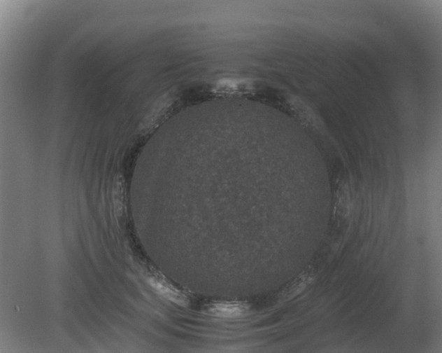 X0000080190659200612152015