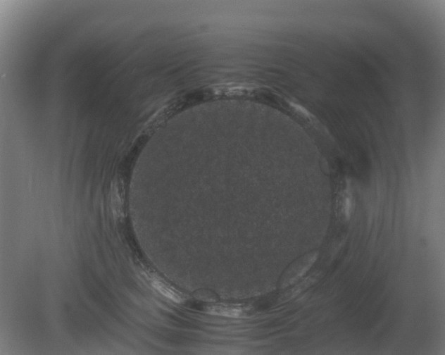 X0000080190661200612152015