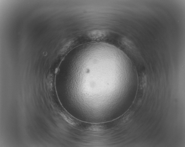 X0000080190664200612152015