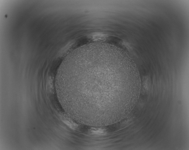 X0000080190667200612152016