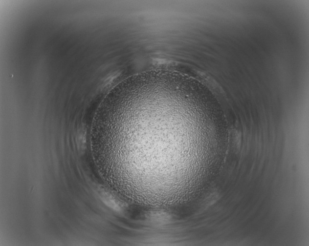 X0000080190668200612152016
