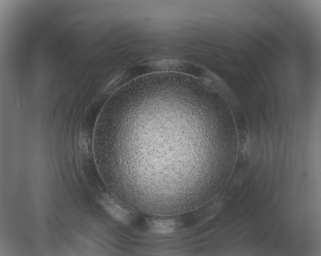 X0000080190669200612152016