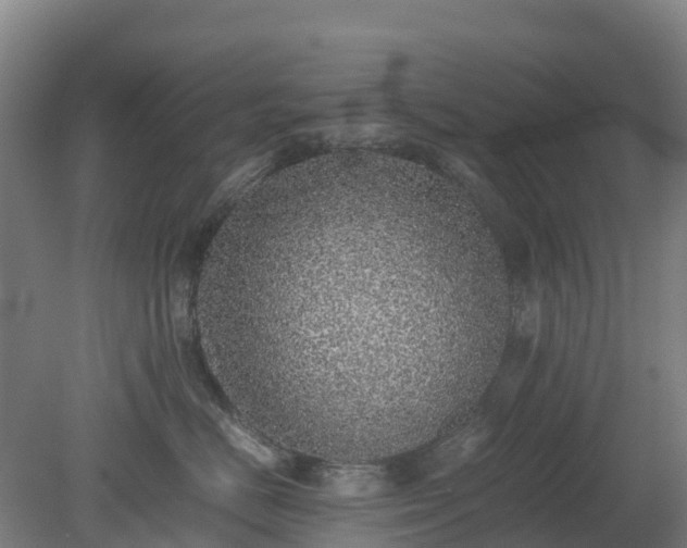 X0000080190670200612152016