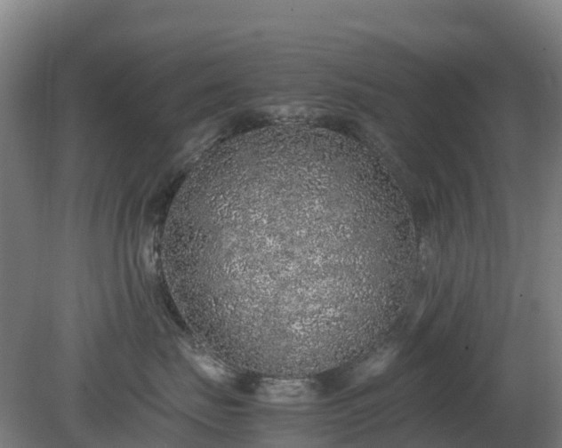 X0000080190671200612152016
