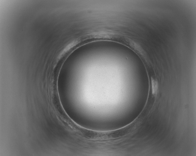 X0000080190675200612152015