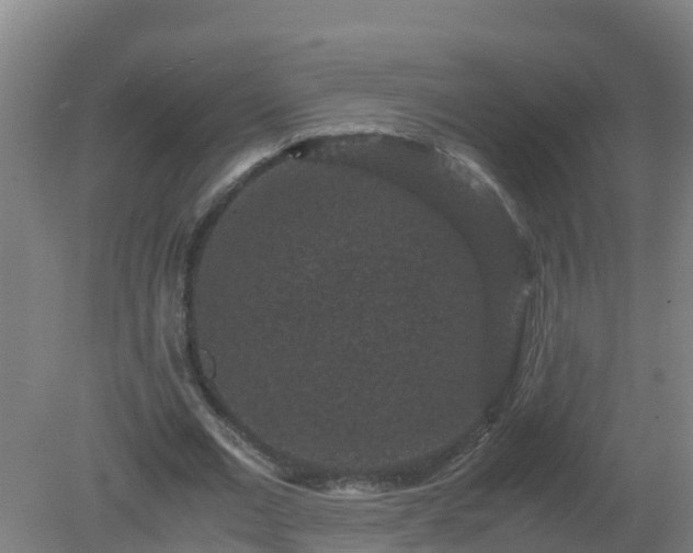 X0000080190677200612152015