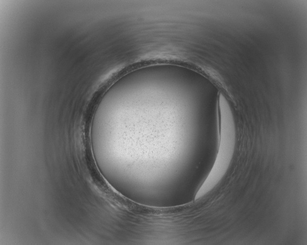 X0000080190680200612152015