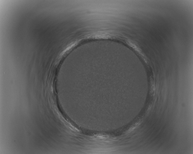 X0000080190681200612152015