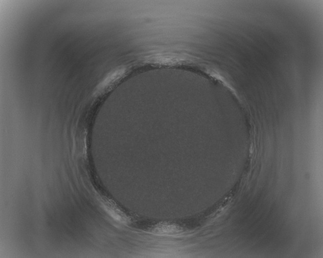 X0000080190685200612152015