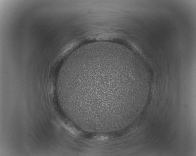 X0000080190687200612152015