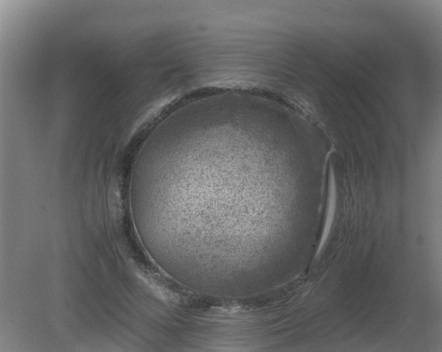 X0000080190688200612152015