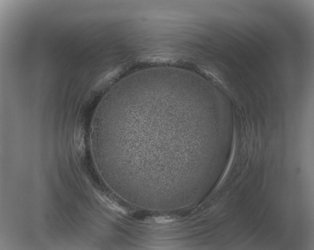 X0000080190692200612152014
