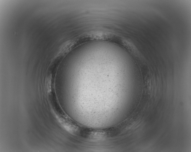 X0000080190694200612152014