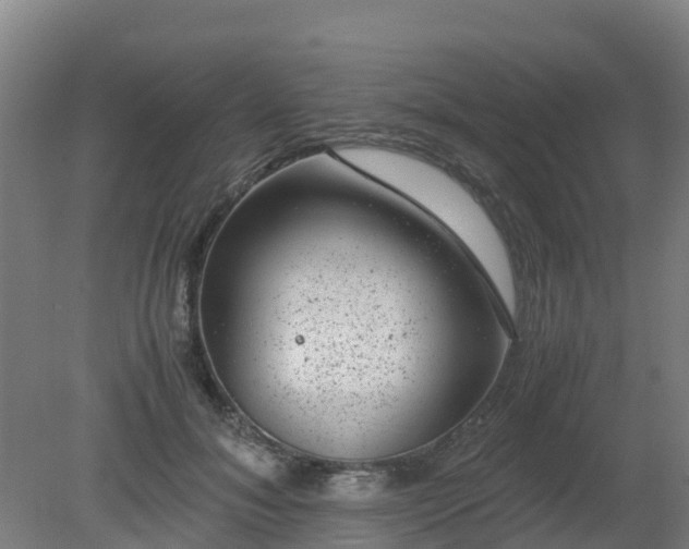 X0000080190700200612152014