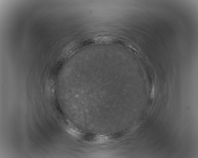 X0000080190701200612152014