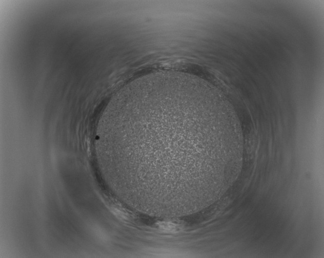 X0000080190703200612152014