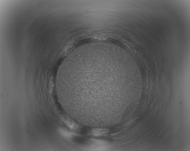 X0000080190707200612152014