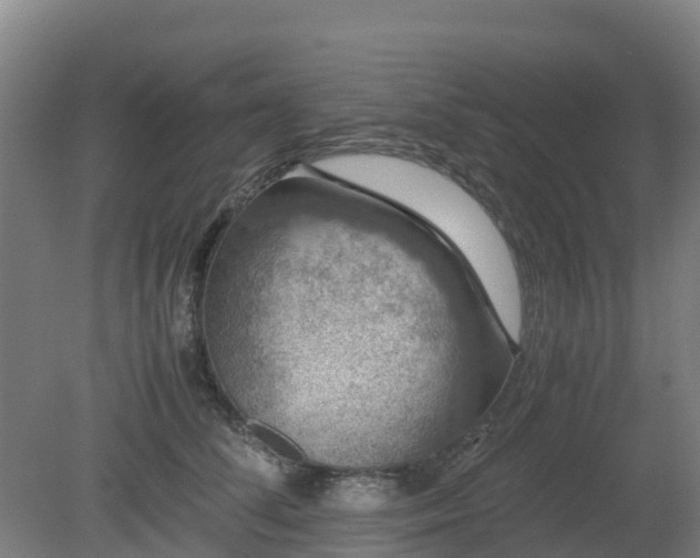 X0000080190708200612152014