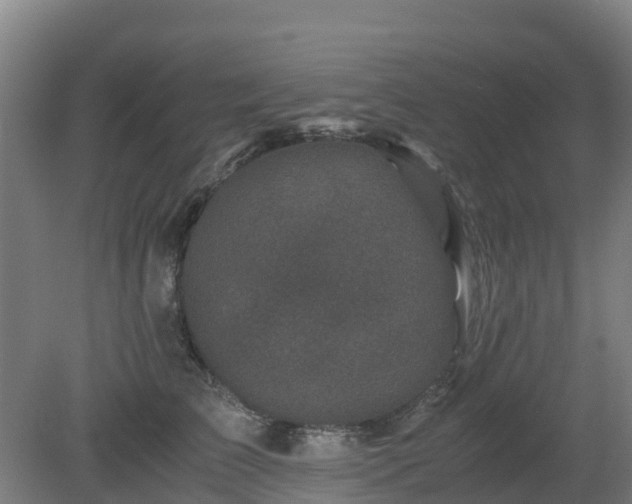 X0000080190709200612152014