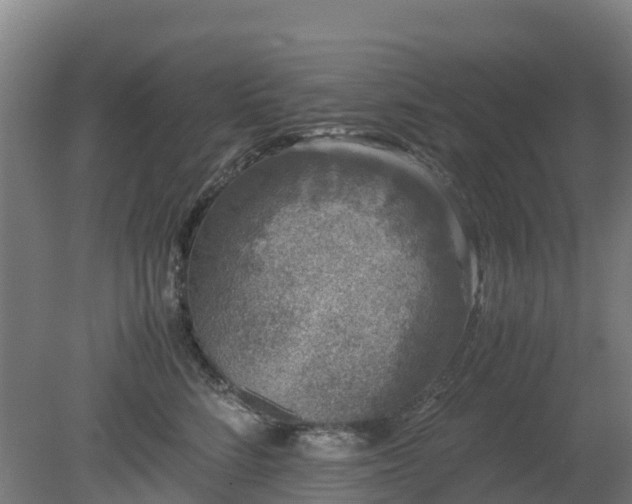 X0000080190712200612152014