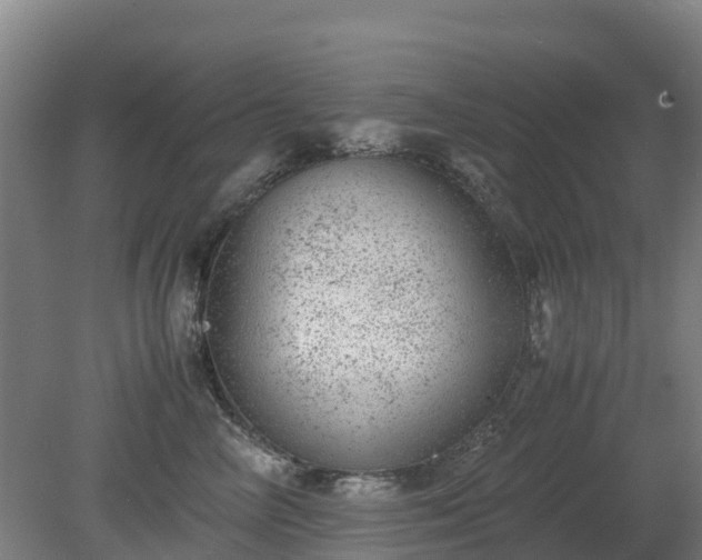 X0000080190714200612152014