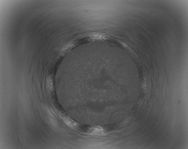 X0000080190715200612152014