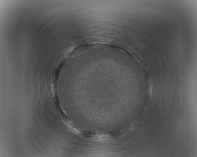 X0000080190716200612152014
