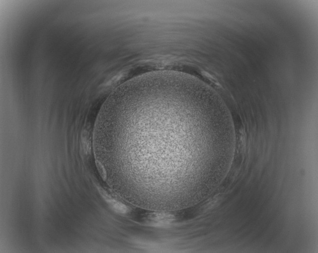 X0000080190719200612152014