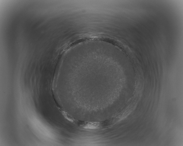 X0000080190720200612152014
