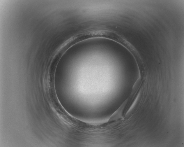 X0000080190722200612152013