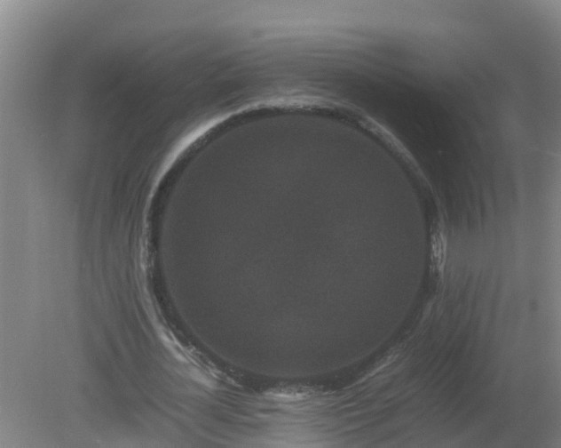 X0000080190724200612152013