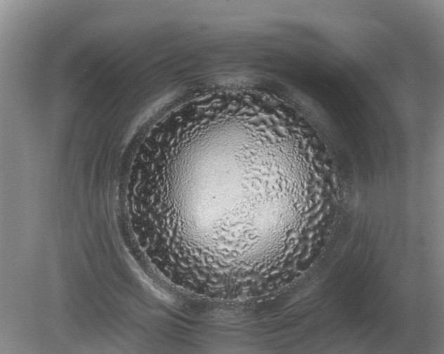 X0000080190725200612152013
