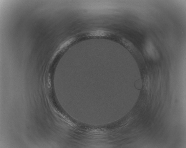 X0000080190731200612152013