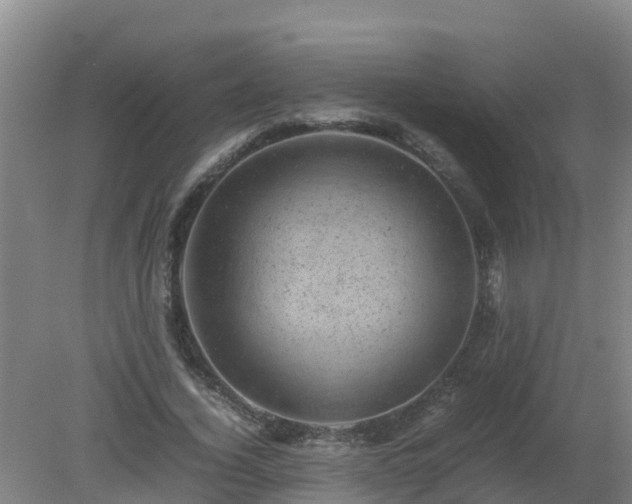 X0000080190732200612152013