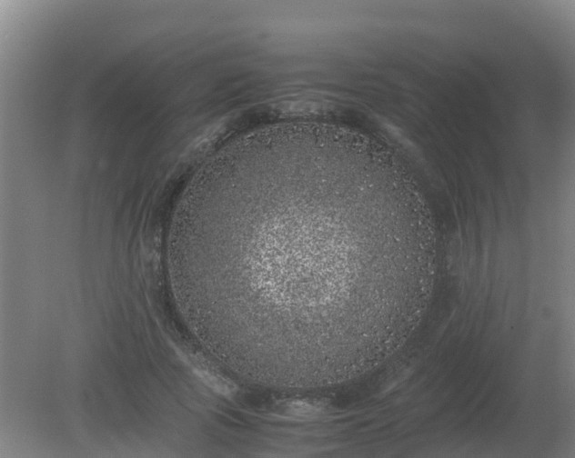 X0000080190737200612152013