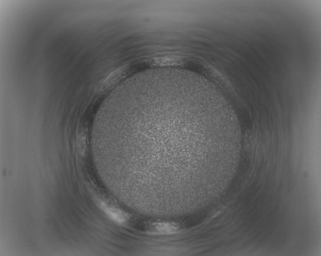X0000080190741200612152014