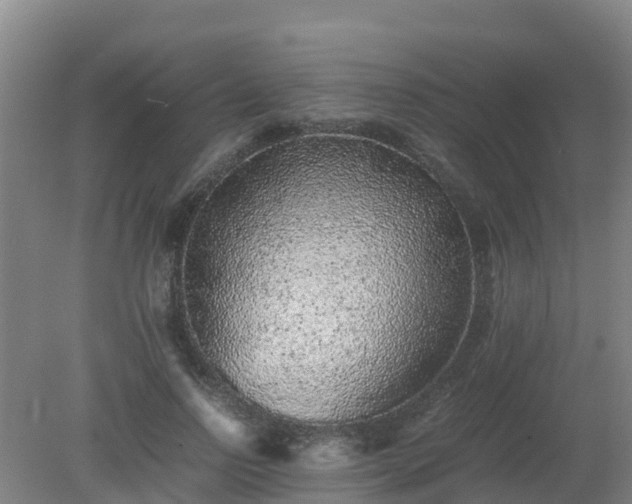 X0000080190742200612152014