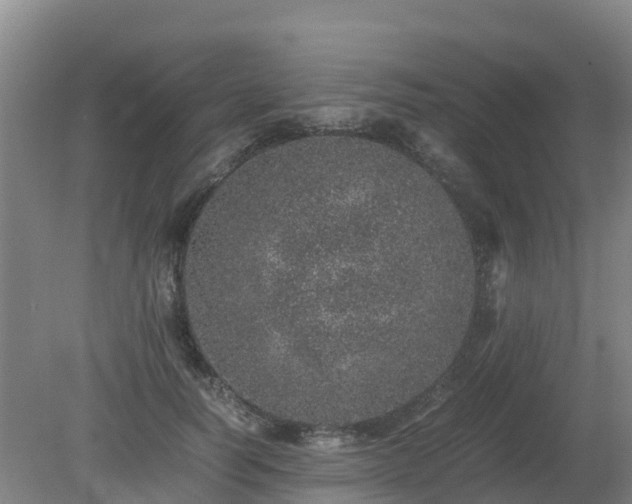 X0000080190746200612152014