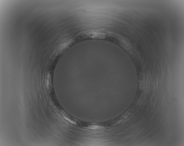 X0000080190748200612152014