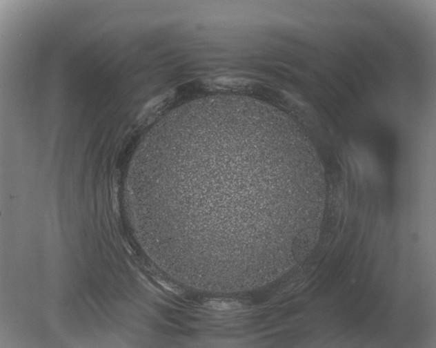 X0000080190749200612152014