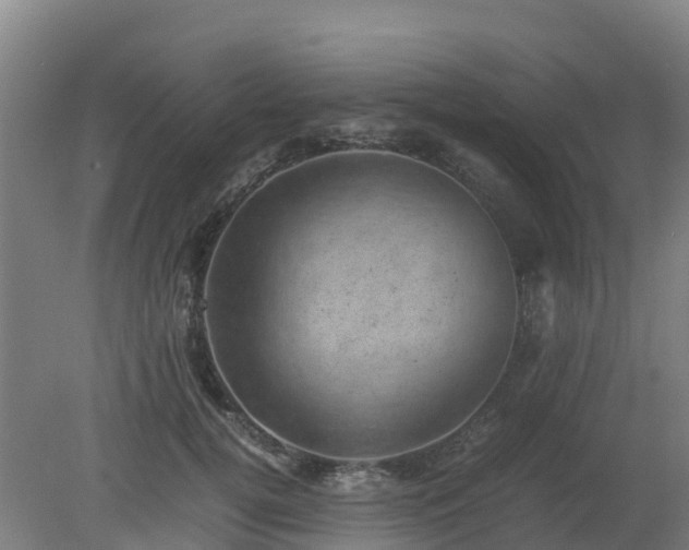 X0000080190752200612152014