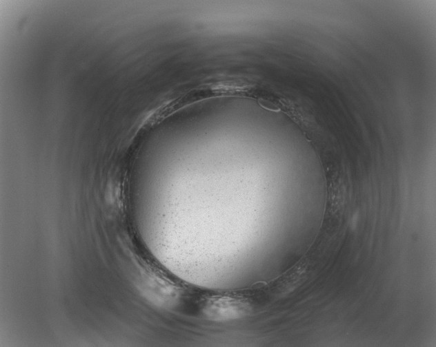 X0000080190755200612152014