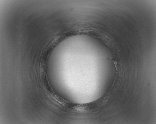 X0000080190756200612152014