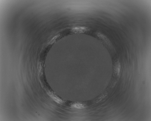 X0000080190759200612152014