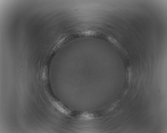 X0000080190760200612152014